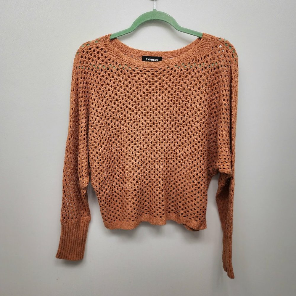 Express open knit sweater